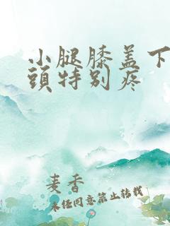 小腿膝盖下面骨头特别疼