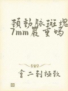 颈动脉斑块1.7mm严重吗