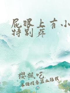 屁眼上有小肉球特别疼