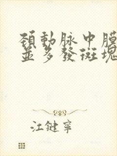 颈动脉中膜增厚并多发斑块形成