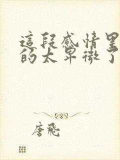 这段感情里我爱的太卑微了