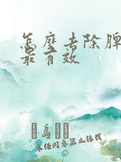 怎么去除脾湿气最有效