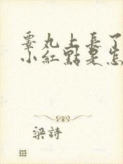 睾丸上长了好多小红点是怎么了