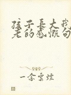 孩子长大我们变老的感慨句子