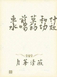 车前草和什么煮水喝的功效最好啊?