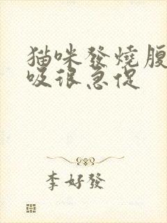 猫咪发烧腹部呼吸很急促