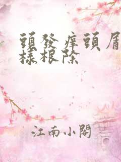 头发痒头屑多怎样根除