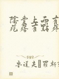 阴囊上面有个小疙瘩有点疼