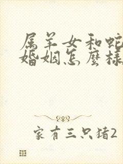 属羊女和蛇男的婚姻怎么样