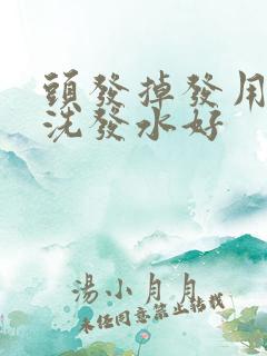 头发掉发用什么洗发水好