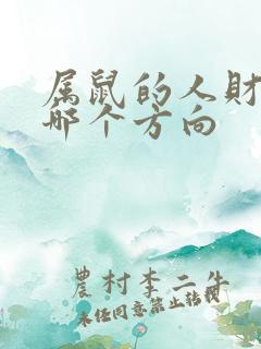 属鼠的人财运在哪个方向