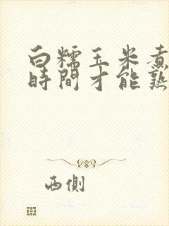 白糯玉米煮多长时间才能熟