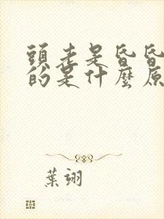 头老是昏昏沉沉的是什么原因