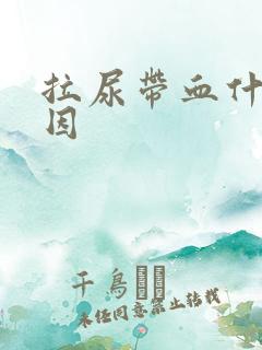 拉尿带血什么原因