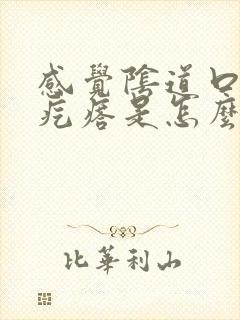 感觉阴道口有小疙瘩是怎么回事