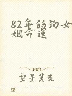 82年的狗女婚姻命运