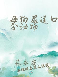 母狗尿道口白色分泌物