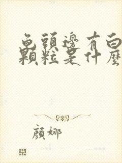 龟头边有白色的颗粒是什么