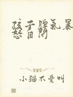 孩子脾气暴躁易怒自闭