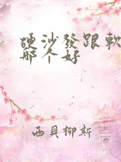 硬沙发跟软沙发哪个好