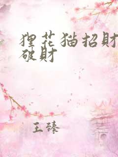 狸花猫招财还是破财