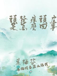 头发痒头皮屑多是怎么回事