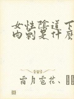 女性阴道下有肉肉刺是什么原因