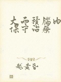 大面积脑内梗塞保守治疗