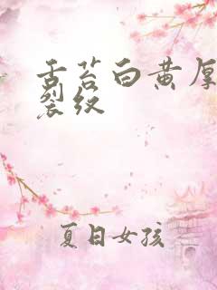 舌苔白黄厚腻有裂纹