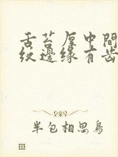 舌苔厚中间有裂纹边缘有齿痕