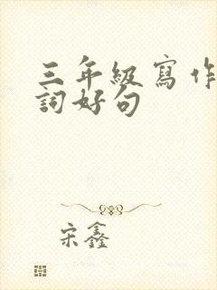 三年级写作文好词好句