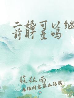 二婚可以继承婚前财产吗