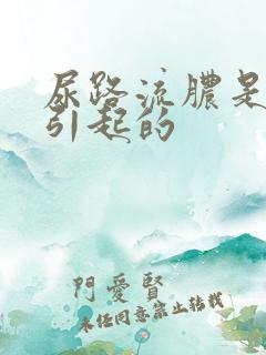 尿路流脓是什么引起的