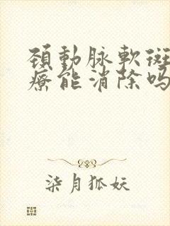 颈动脉软斑块治疗能消除吗