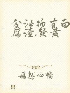 分泌物有白色豆腐渣,发黄