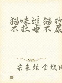 猫咪进猫砂盆但不拉也不尿