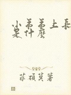 小弟弟上长水泡是什么