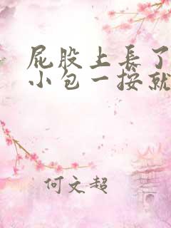 屁股上长了一个小包一按就疼