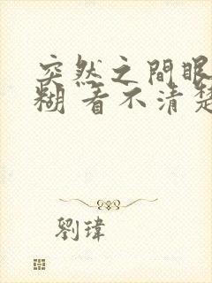 突然之间眼睛模糊 看不清楚东西怎么回事