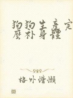 狗狗生产完吃什么补身体