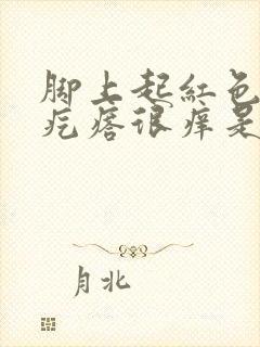 脚上起红色的小疙瘩很痒是因为什么