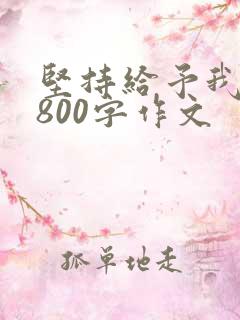 坚持给予我力量800字作文