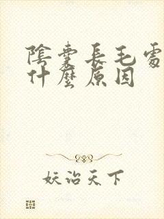 阴囊长毛处痒是什么原因