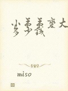 小弟弟变大手术多少钱