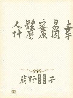 人体容易上火是什么原因导致