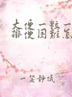 大便一粒一粒硬排便困难怎么办