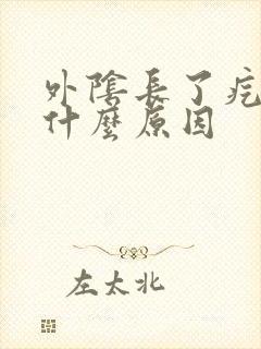 外阴长了疙瘩是什么原因