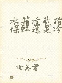 冰箱冷藏指的是保鲜还是冷冻