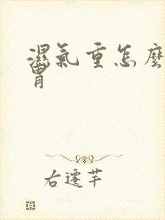 湿气重怎么调脾胃