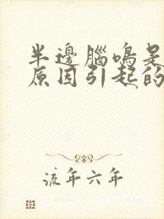 半边脑鸣是什么原因引起的